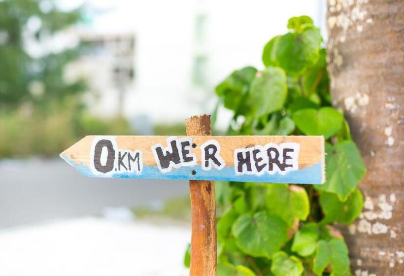 هتل Whiteharp Beach Inn