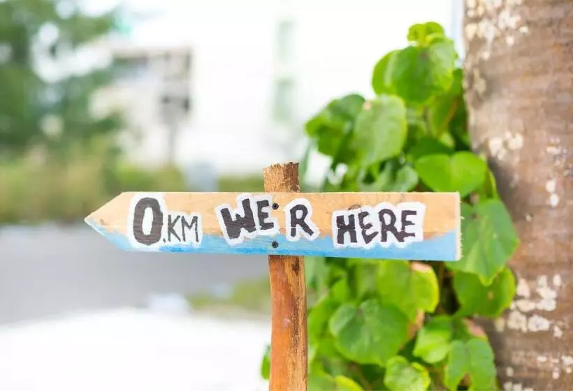 هتل Whiteharp Beach Inn