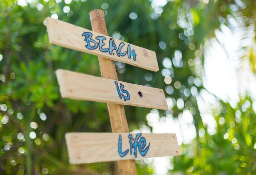 هتل Whiteharp Beach Inn