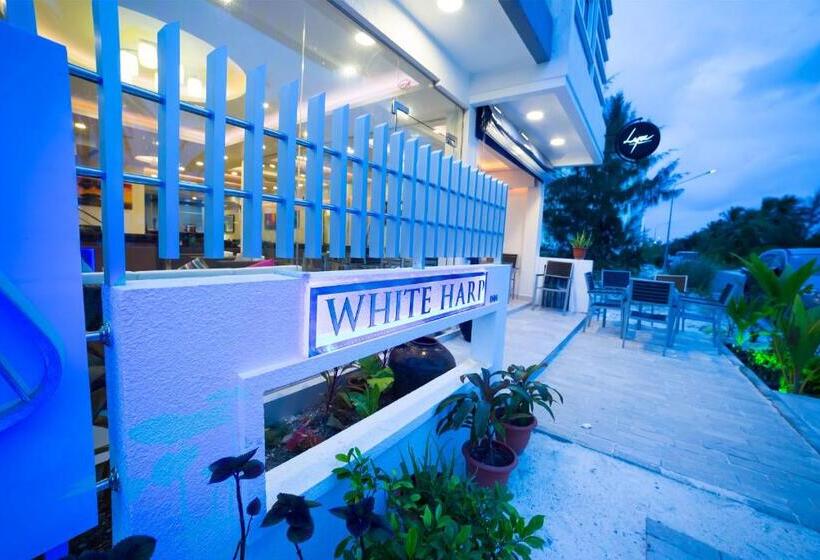 هتل Whiteharp Beach Inn