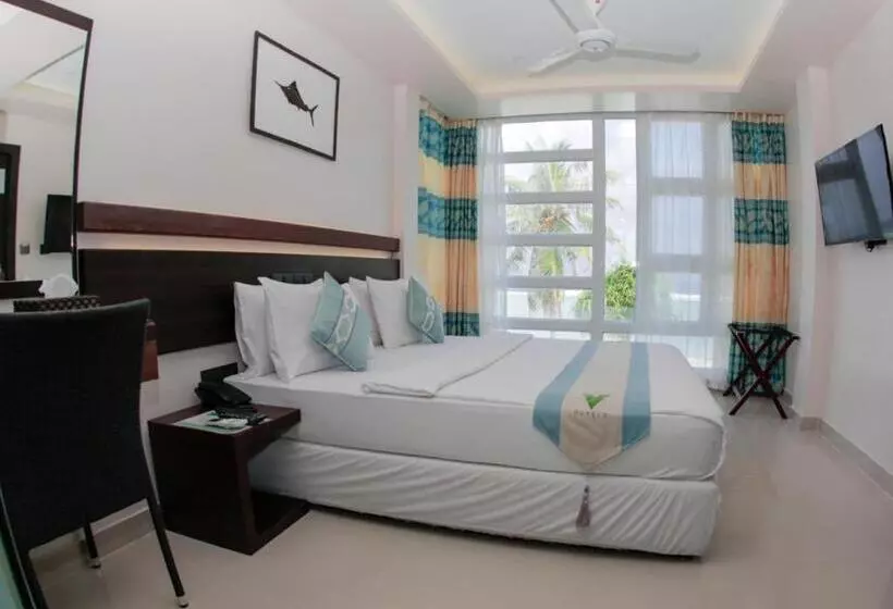 هتل Whiteharp Beach Inn