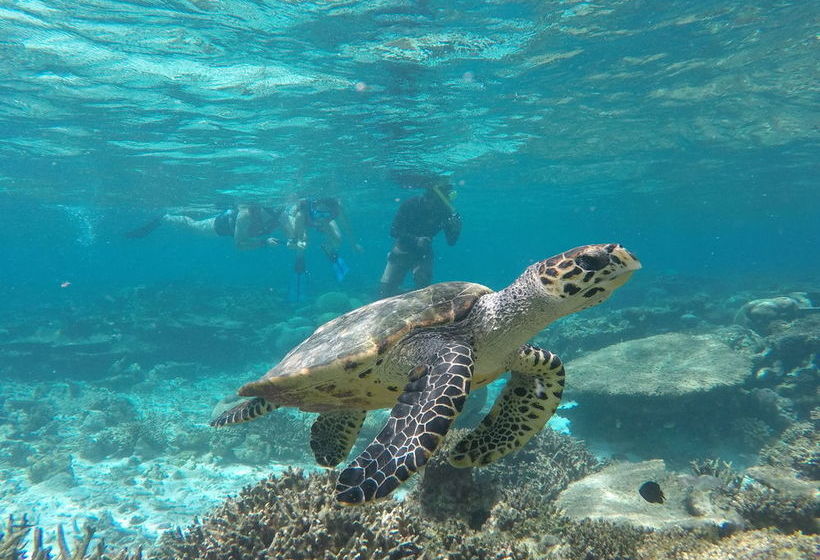 پانسیون Ocean Vista Guest House At Maafushi