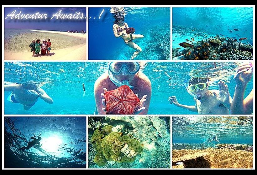 پانسیون Ocean Vista Guest House At Maafushi