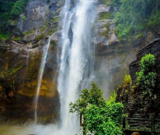 ペンション The Greendale Bungalow
