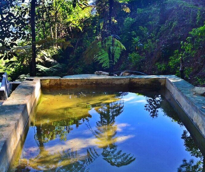 ペンション The Greendale Bungalow