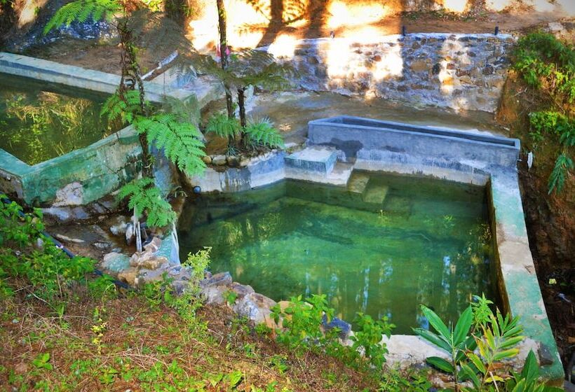 ペンション The Greendale Bungalow