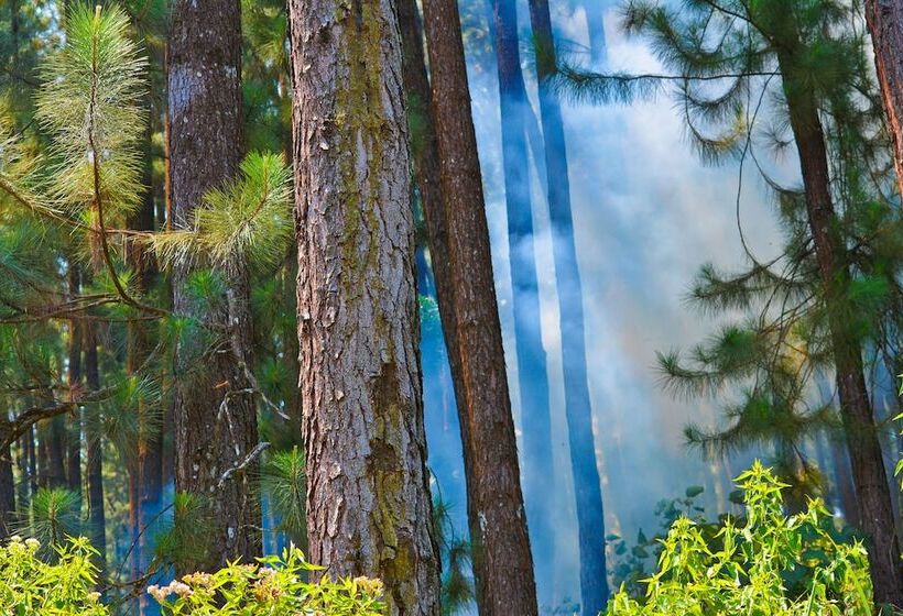 ペンション The Greendale Bungalow