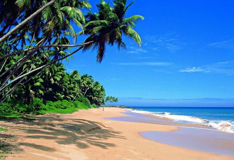 ペンション Villa 46