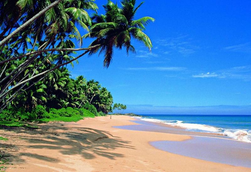 ペンション Villa 46