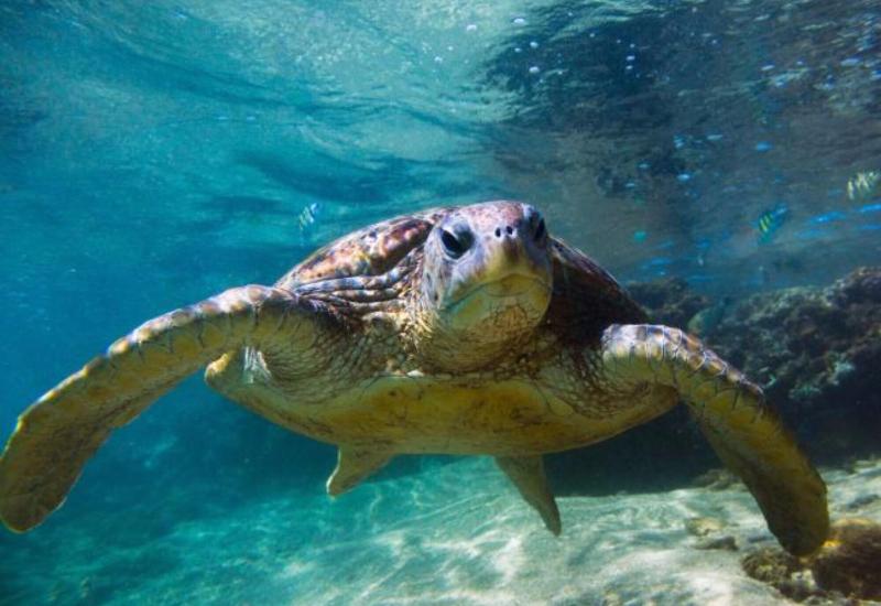 ペンション Villa 46