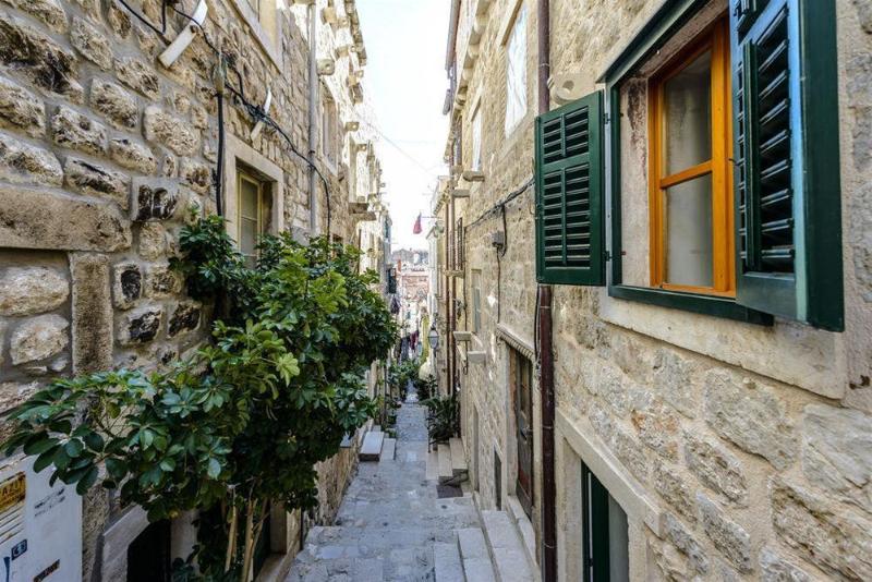 Отель Apartments Pavisa