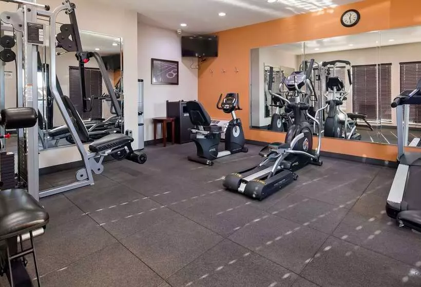 ホテル Best Western Plus Spring Inn & Suites