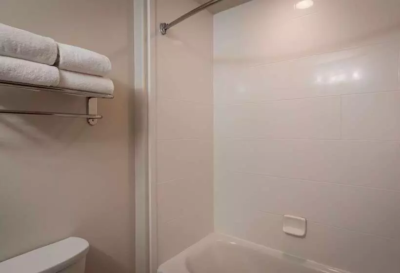 ホテル Best Western Plus Spring Inn & Suites