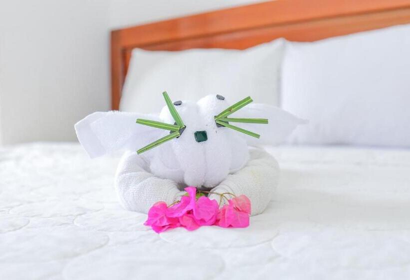 酒店 Ciao Quy Nhơn