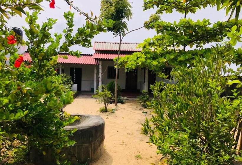 Majatalo Golden Rich