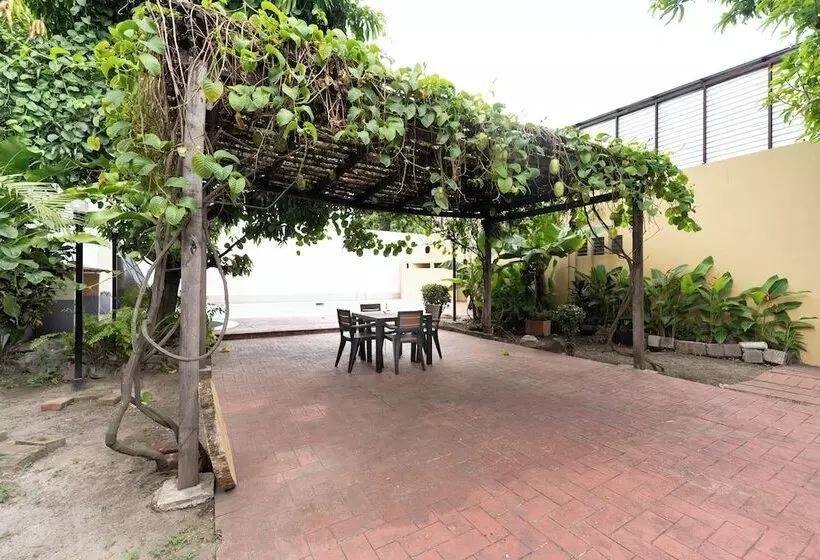 ペンション Volcano Hostal Y Restaurante