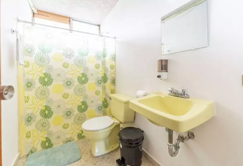 ペンション Volcano Hostal Y Restaurante