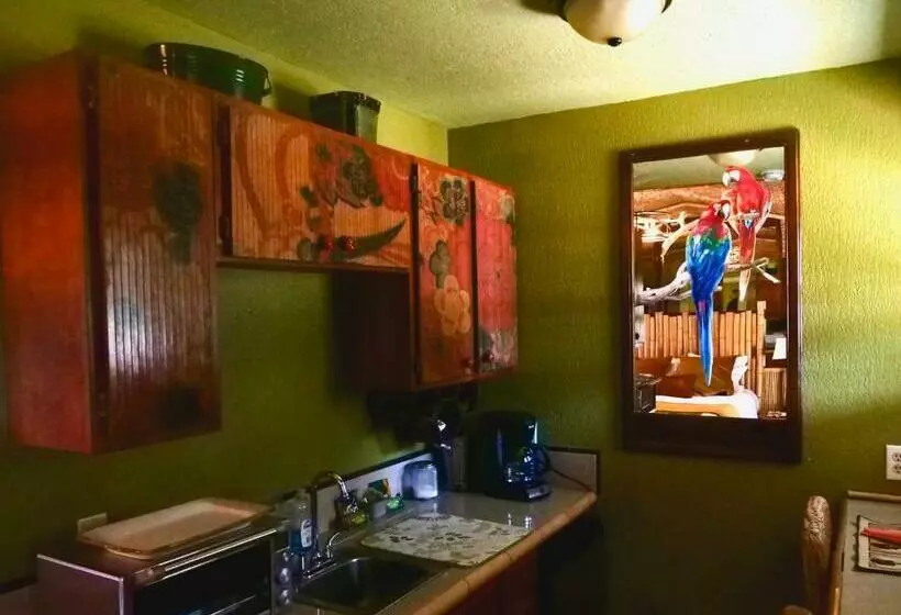 ユースホステル The Huisache Room   The Ranch House Motel