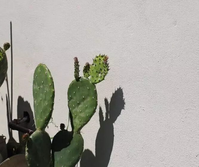 Aamiaismajoitus (B&B) Bnb Verdeolivo