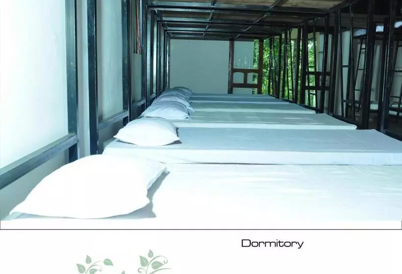 Aamiaismajoitus (B&B) Punarjani Ayurvedic Resorts