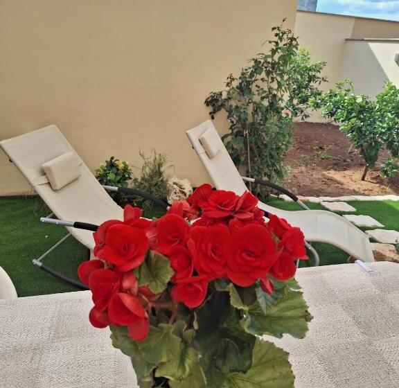 Bed and Breakfast Domus 0143