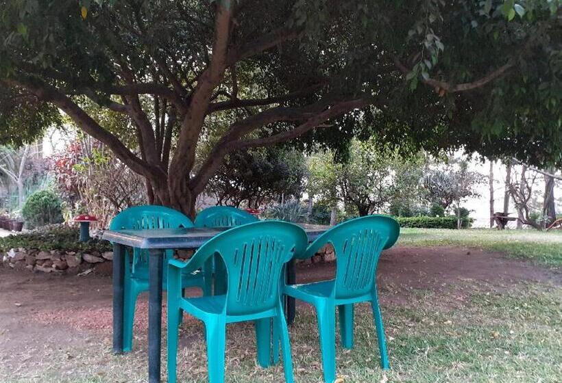 ベッドアンドブレックファースト Sonke Ball House