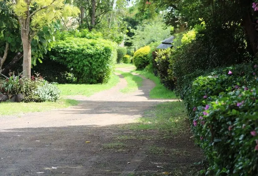 Hotelli Meserani Oasis Lodge & Campsite