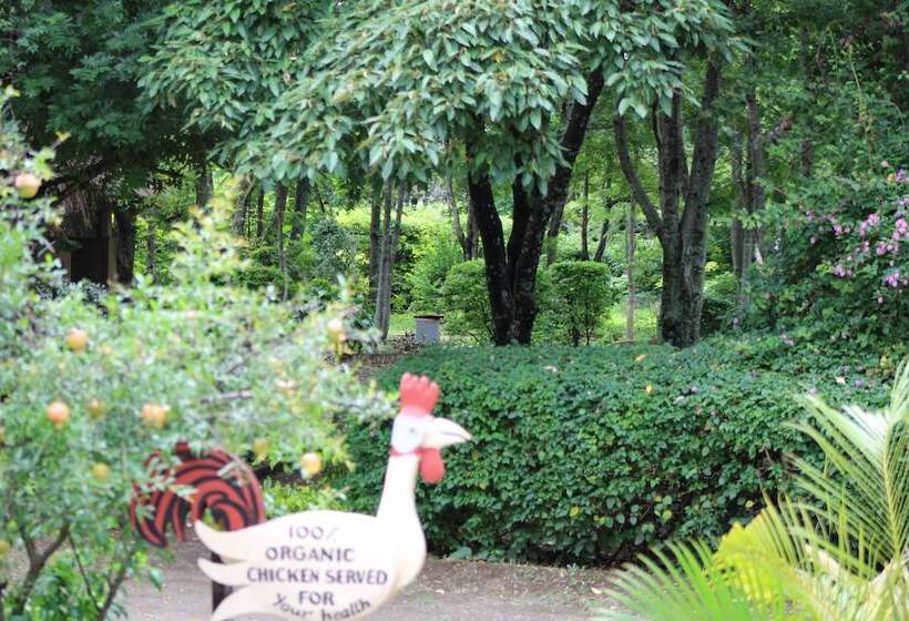 酒店 Meserani Oasis Lodge & Campsite