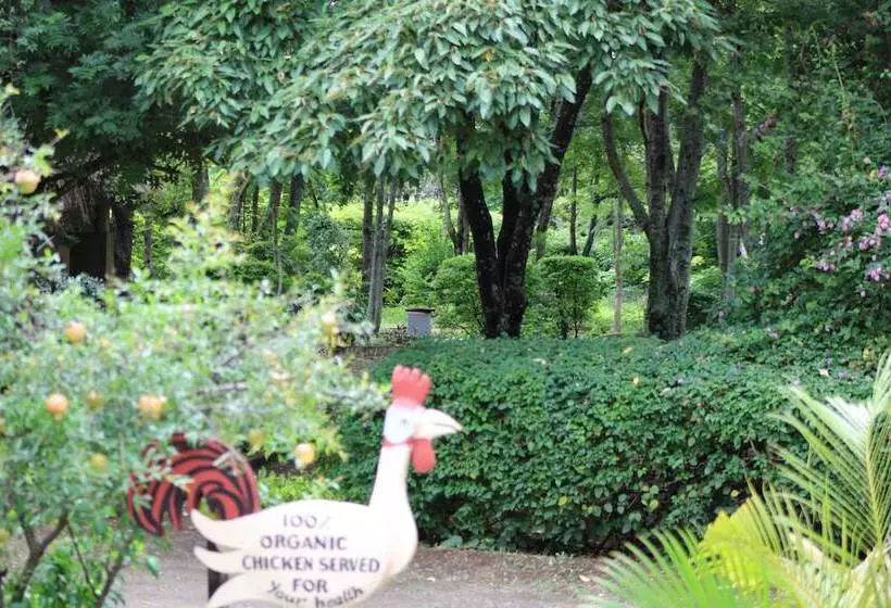 Hotelli Meserani Oasis Lodge & Campsite