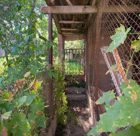 Pensjonat Dendrobak Guesthouse