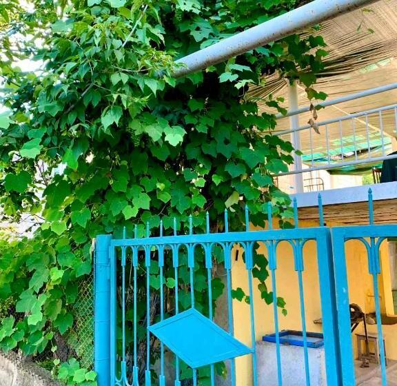 Pensjonat Dendrobak Guesthouse