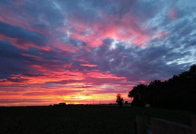 住宿加早餐 Chambre D'hôtes Du Bois Joli