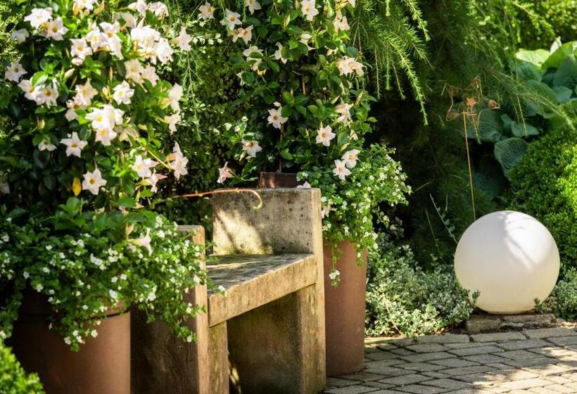 Отель Gasthof Feichter