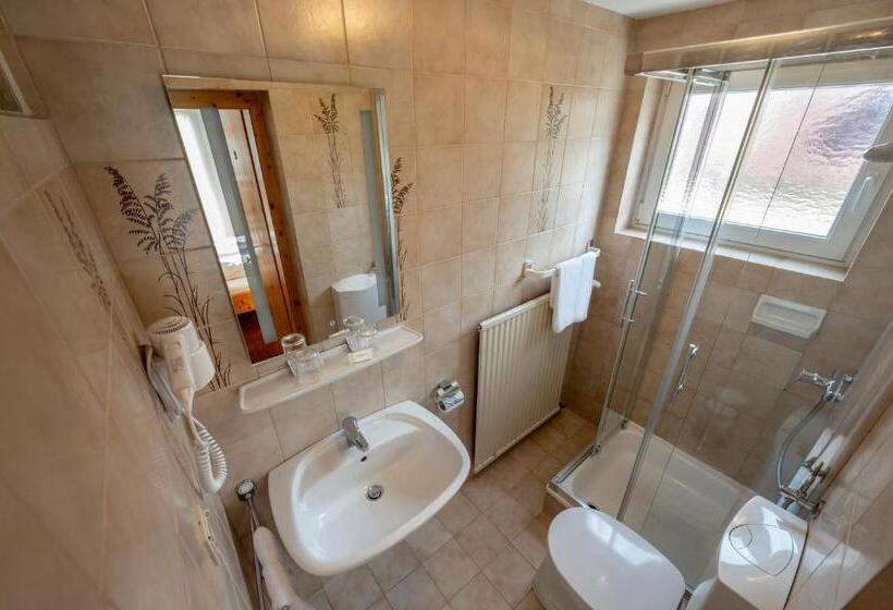 Отель Gasthof Feichter