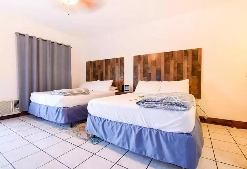 ホテル Habitación Doble Playa Bonita Calle 13 Bar. Wow