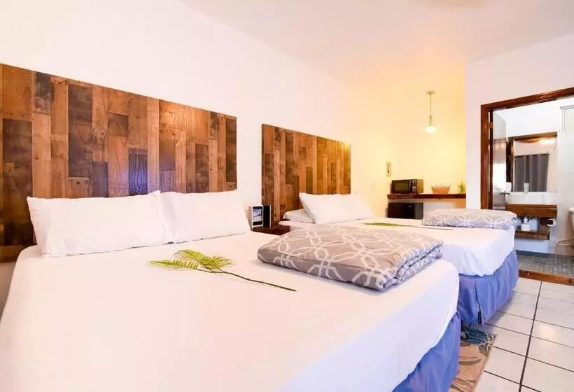 ホテル Habitación Doble Playa Bonita Calle 13 Bar. Wow