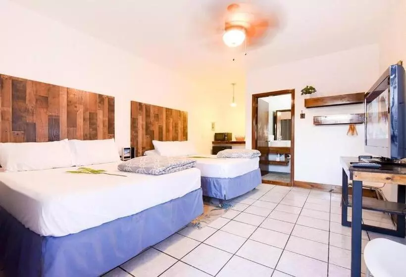 ホテル Habitación Doble Playa Bonita Calle 13 Bar. Wow