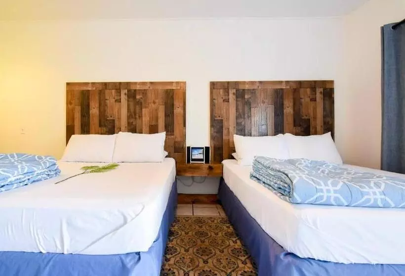 ホテル Habitación Doble Playa Bonita Calle 13 Bar. Wow