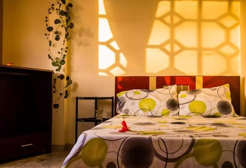 ユースホステル Hostal El Ermitaño