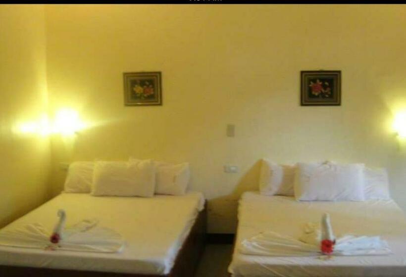 Vandrarhem Aj Travellers Inn Main