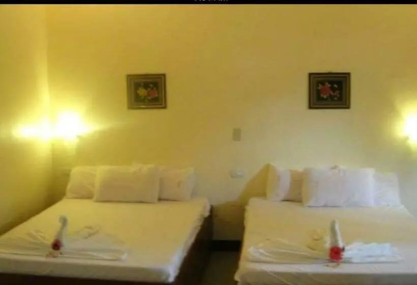 هاستل Aj Travellers Inn   Main
