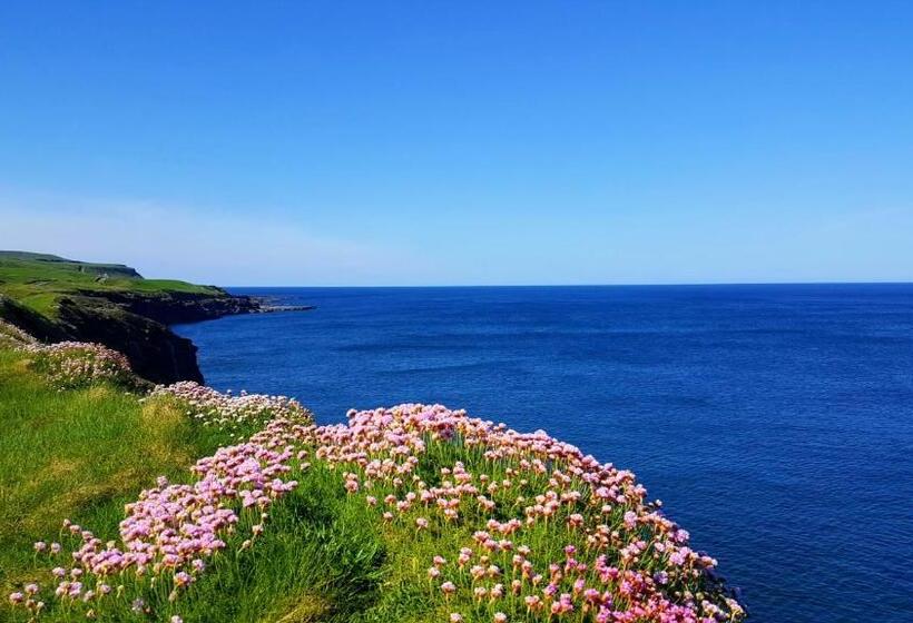 ベッドアンドブレックファースト Blue Ocean Guest Suites