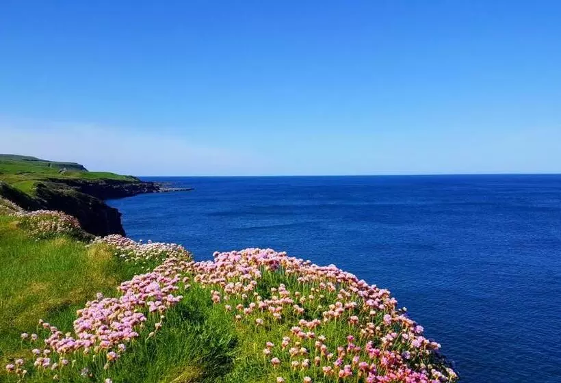 ベッドアンドブレックファースト Blue Ocean Guest Suites