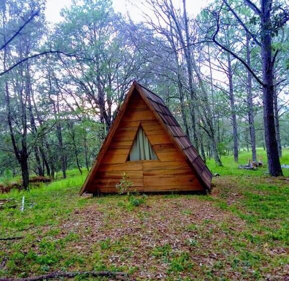 فندق Campamento Plan De Los álamos