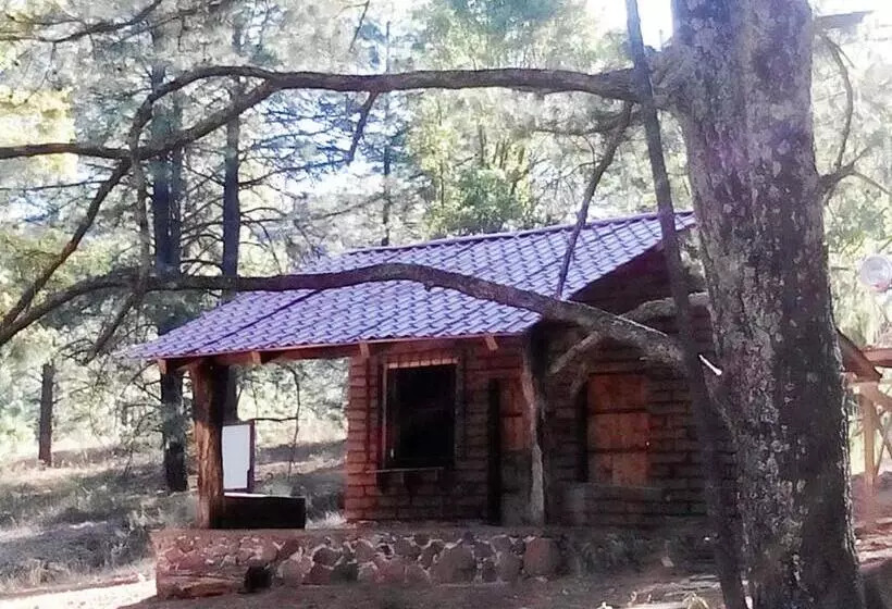 Hotelli Campamento Plan De Los álamos