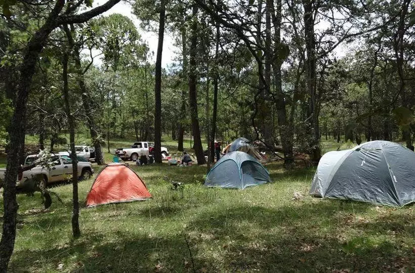 Hotelli Campamento Plan De Los álamos
