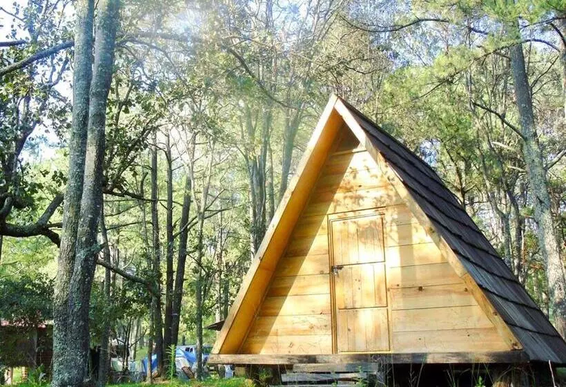 Hotelli Campamento Plan De Los álamos