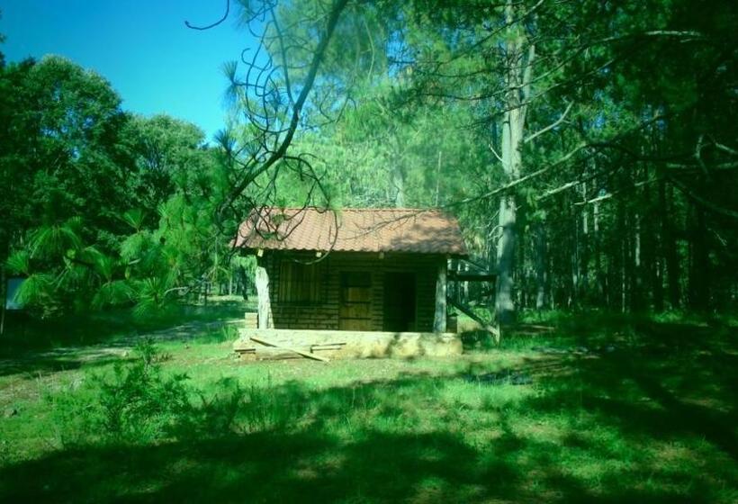 فندق Campamento Plan De Los álamos