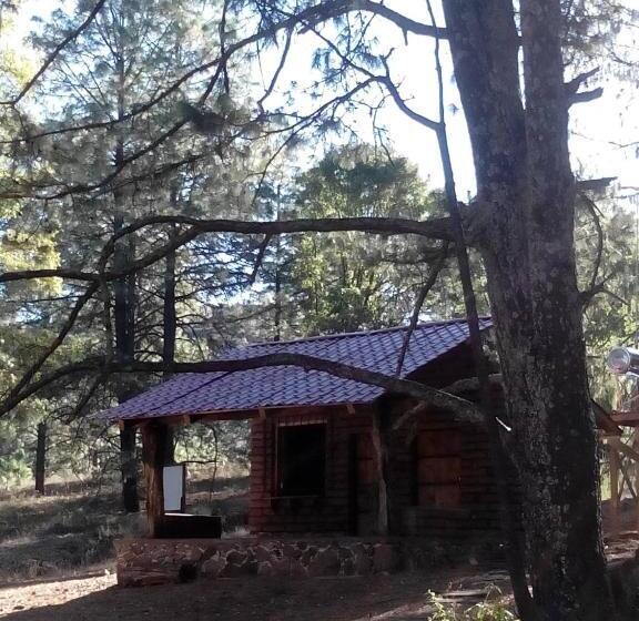 فندق Campamento Plan De Los álamos