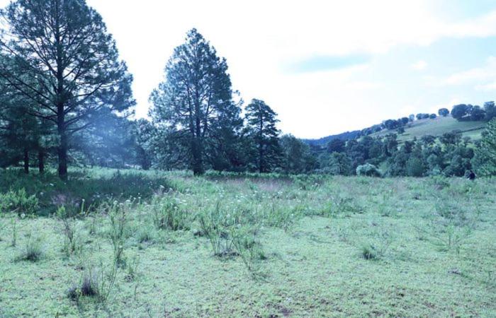 فندق Campamento Plan De Los álamos